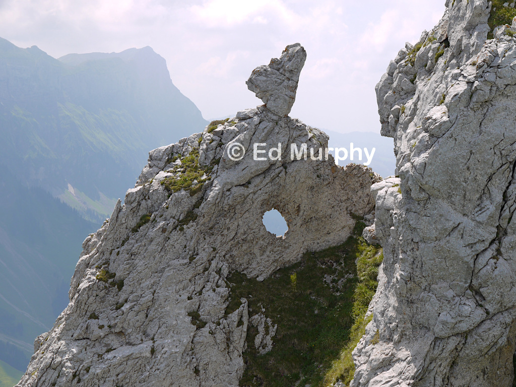 Delicate scenery off the Schibeng&uuml;tsch track