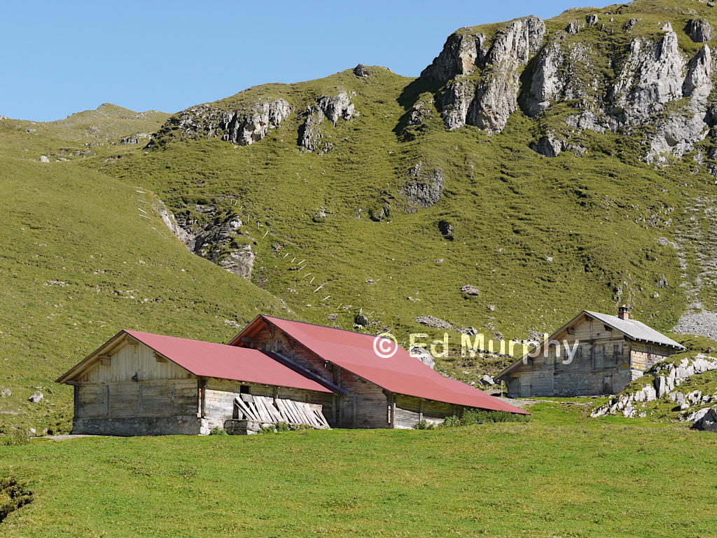 A summer Alp below the Giesigrat