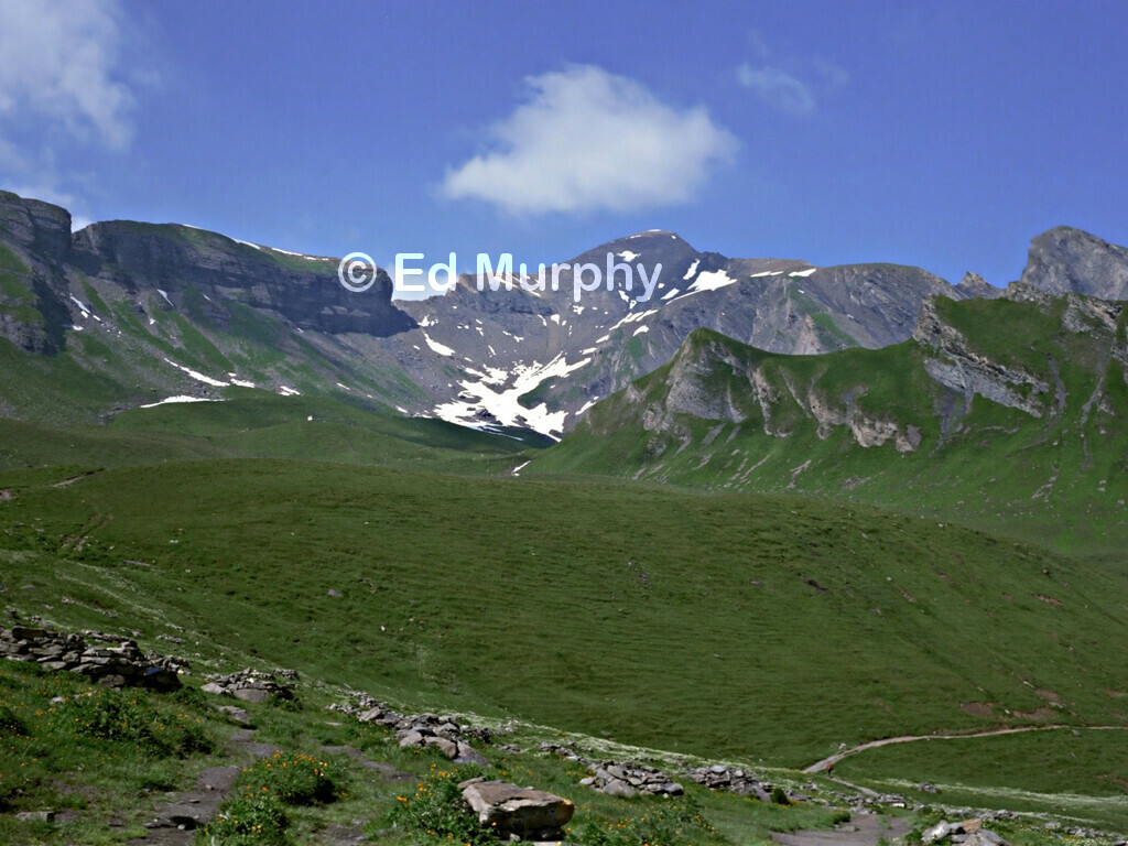 The Grindelwald Schwarzhorn from near First