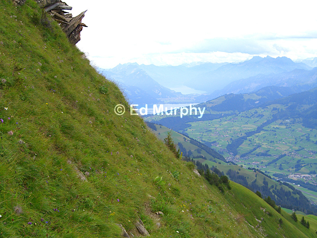 A barely formed path on the Steinschlaghorn