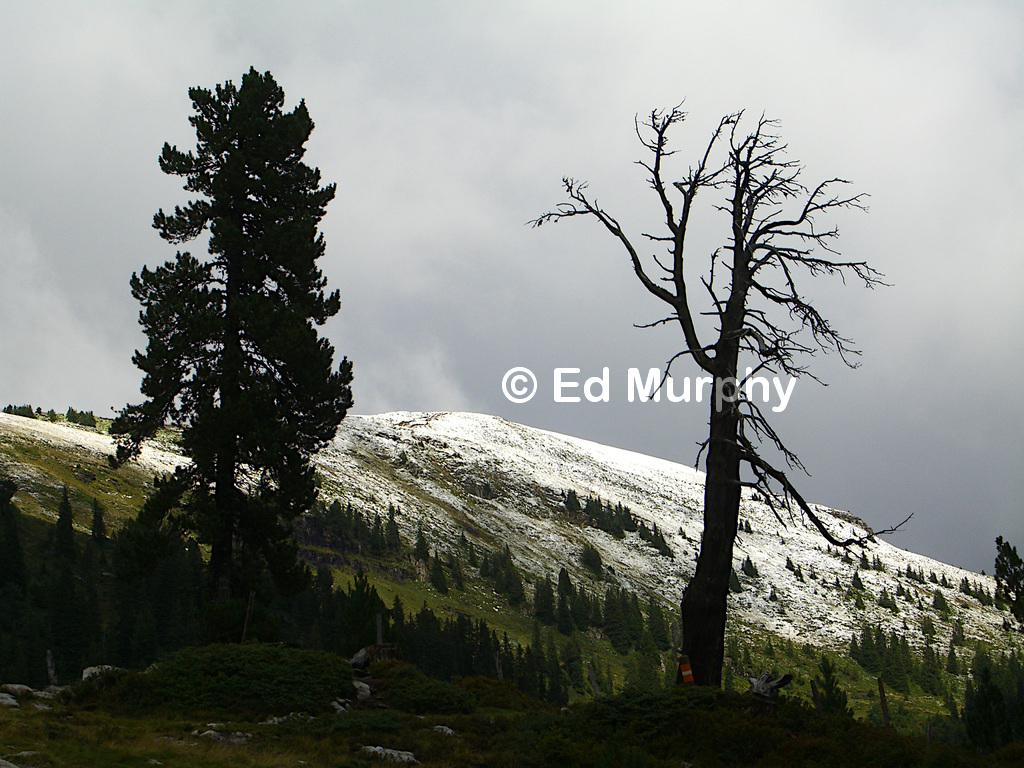 Unseasonal conditions below Burgfeldstand Peak