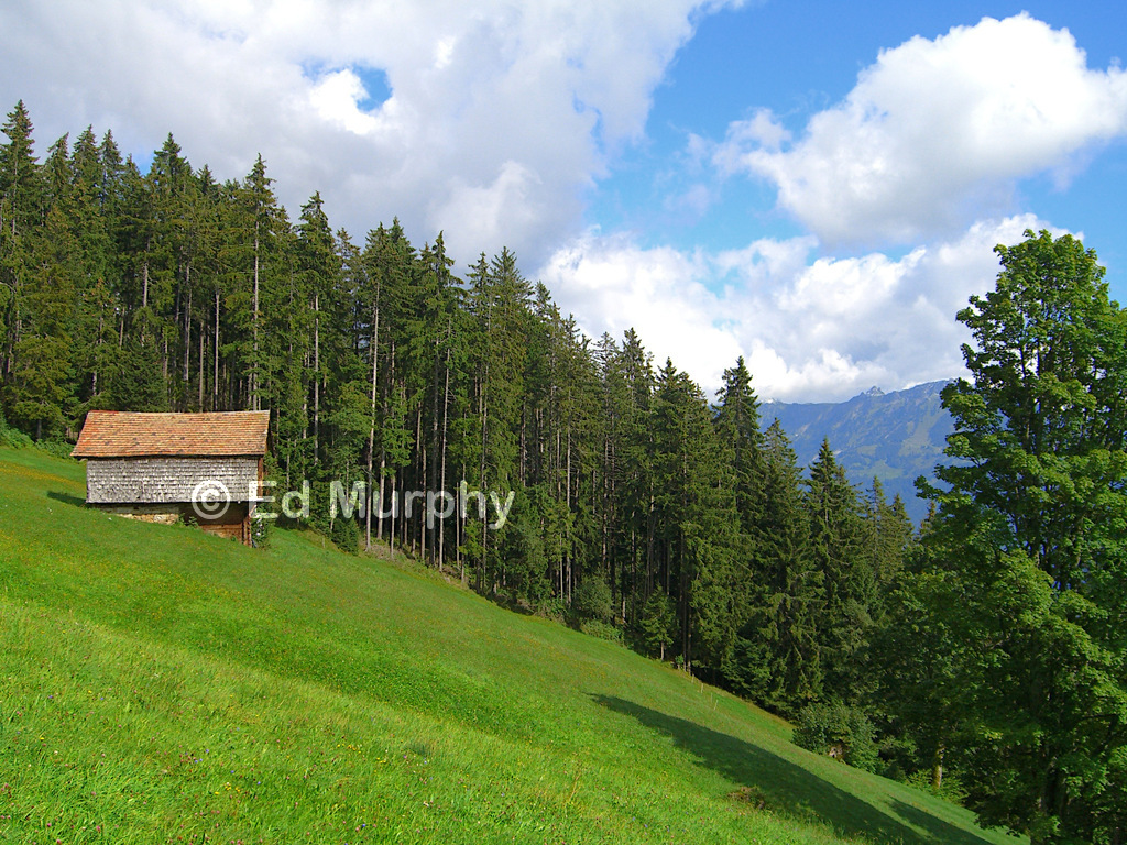 Pleasant alpine walking above Beatenberg