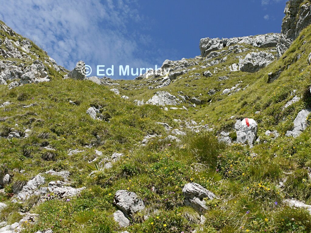 The path approaching the Ochsen summit