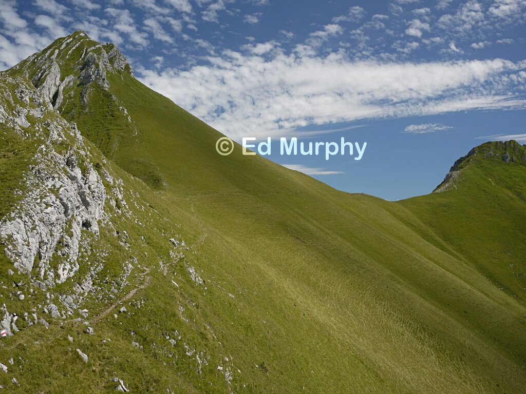 The path towards the grassy saddle below the Ochsen's summit