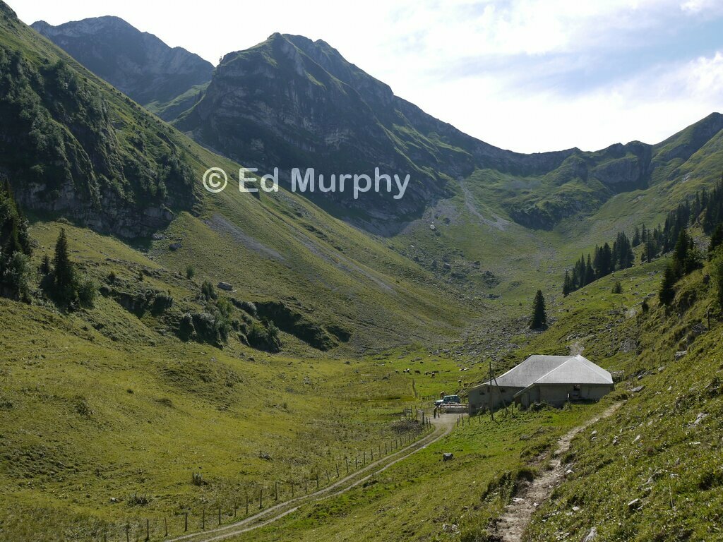 Combi chalet and the Schopfenspitz on the left