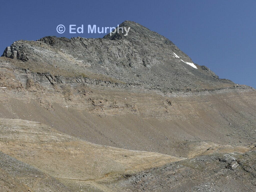 The Wasenhorn