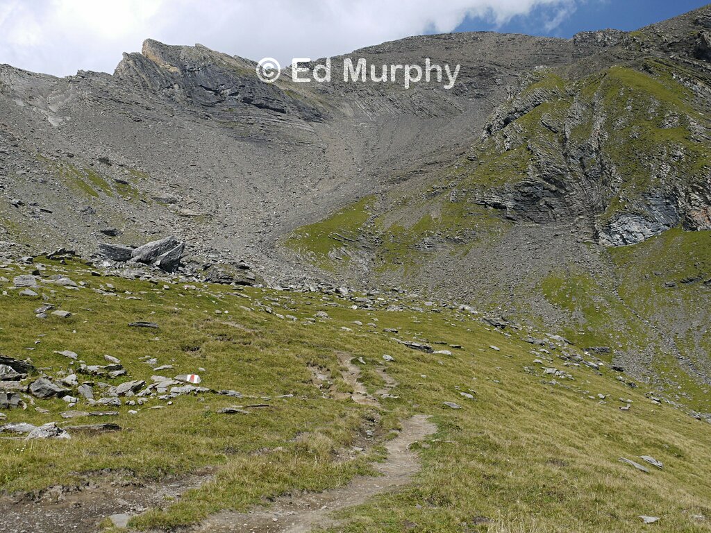 Last grass on the track to the Grindelwald Schwarzhorn