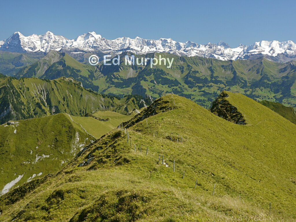 The Bernese Oberland from the B&uuml;rglen's grassy summit