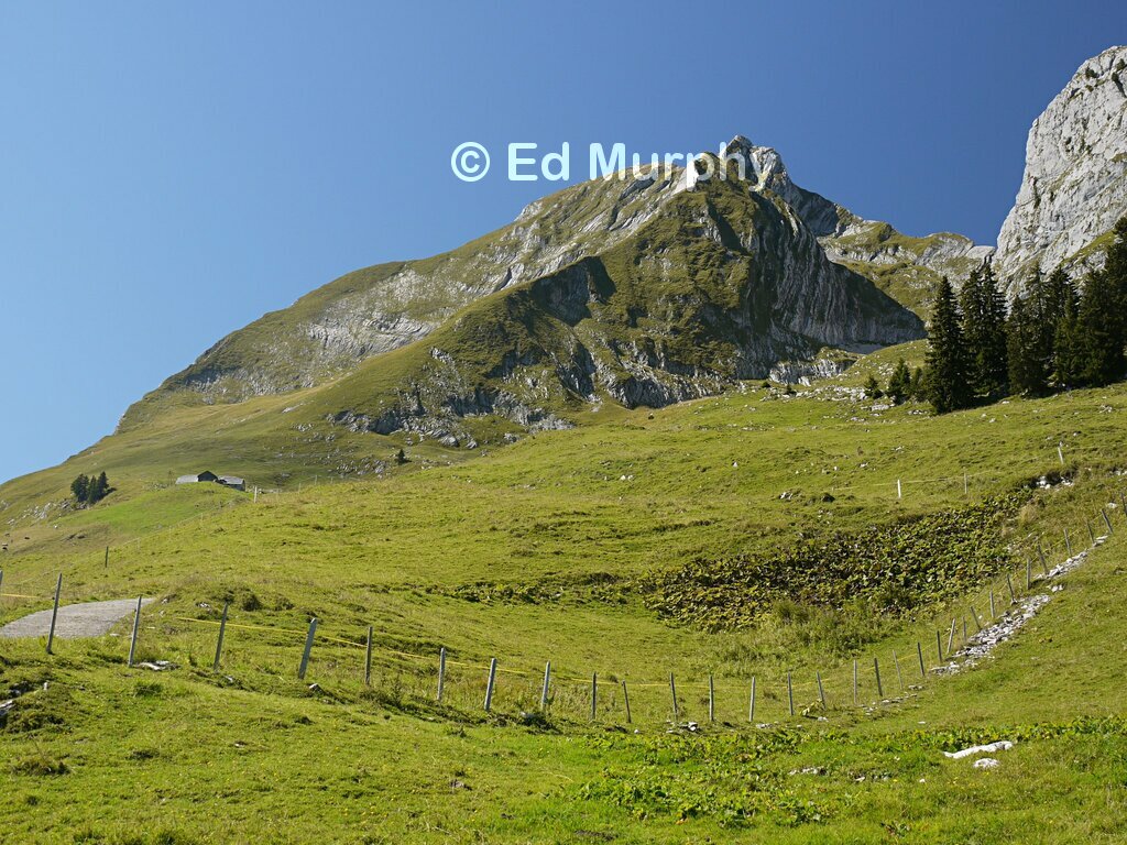 The Dent de Brenleire from the Croset Alp