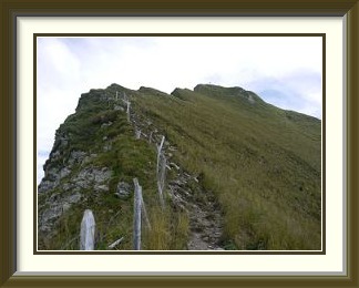 Schopfenspitz 13 Aug