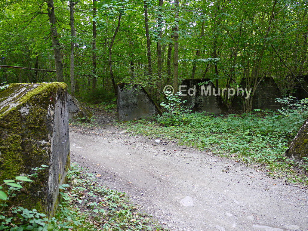 Old antitank barriers on the banks of the River Sense