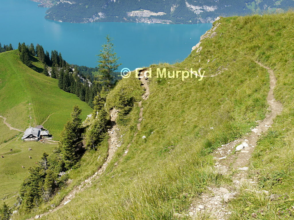 A path with a view on the Morgenberghorn