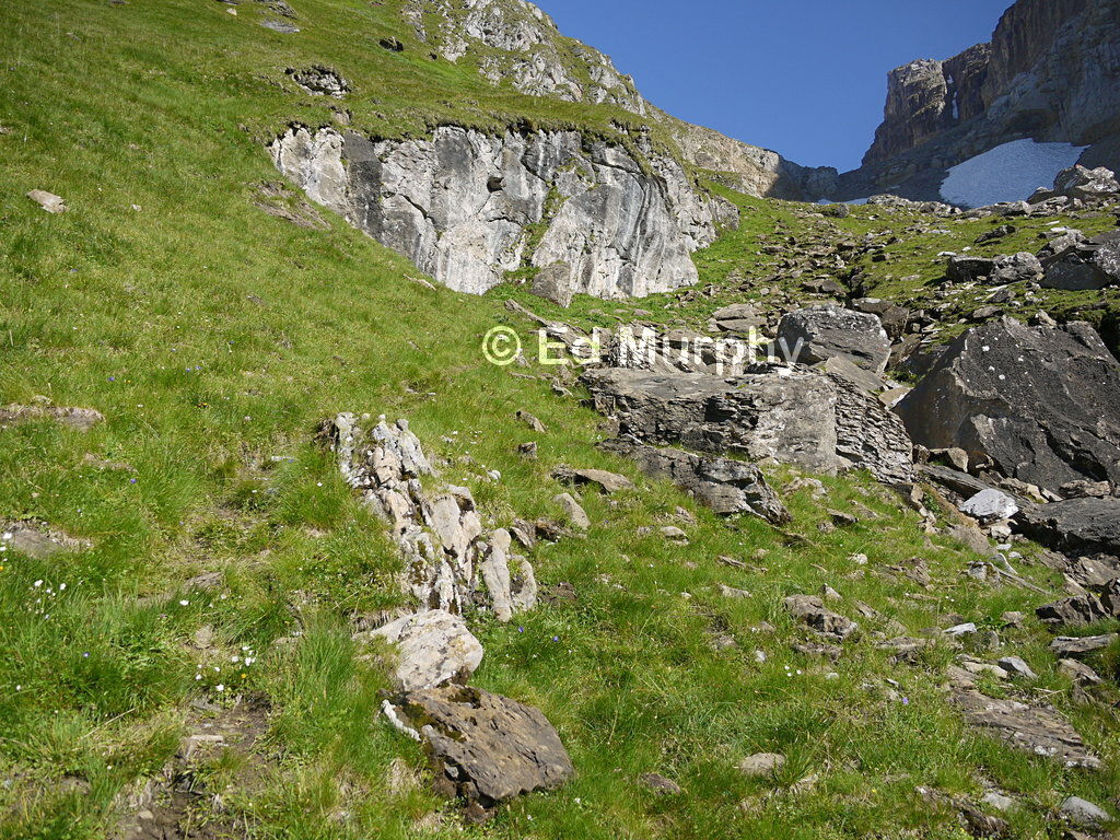Traces of a path leading into the Br&uuml;nnlital