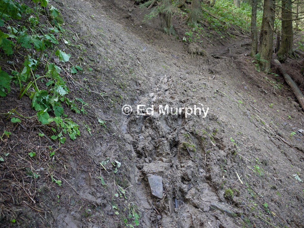 Landslip on the Stufenstein track