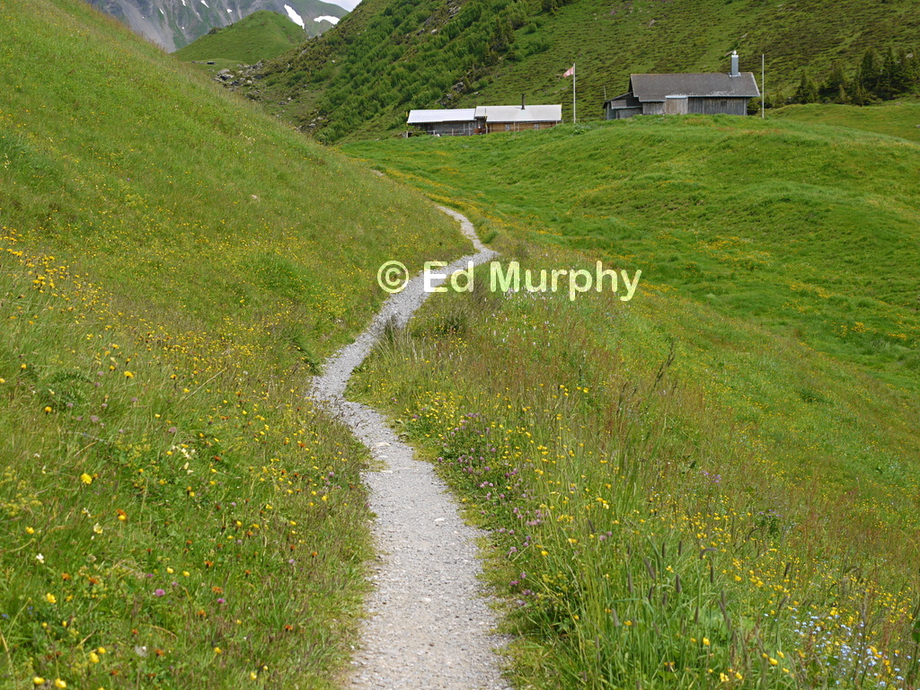 The path to the Hochstollen at K&auml;serstatt