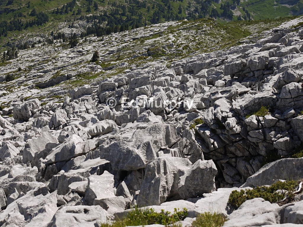 Typical karst landscape on the Sieben Hengste