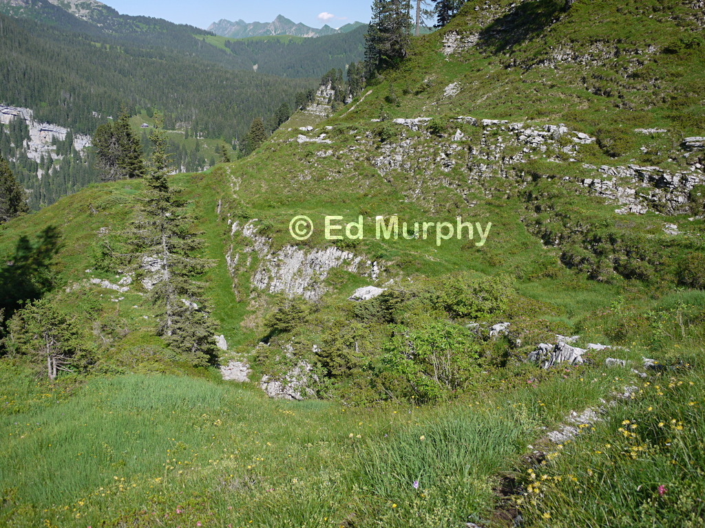 The unmarked track down the eastern end of the Sieben Hengste
