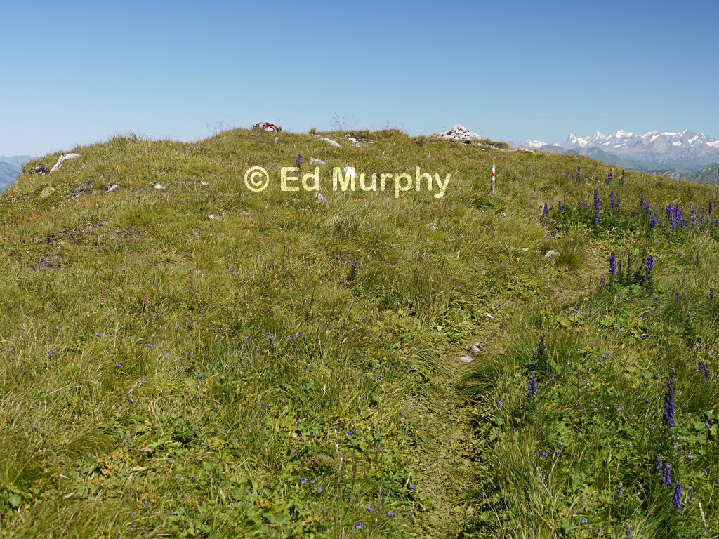 The Tour de Mayen's unsullied summit