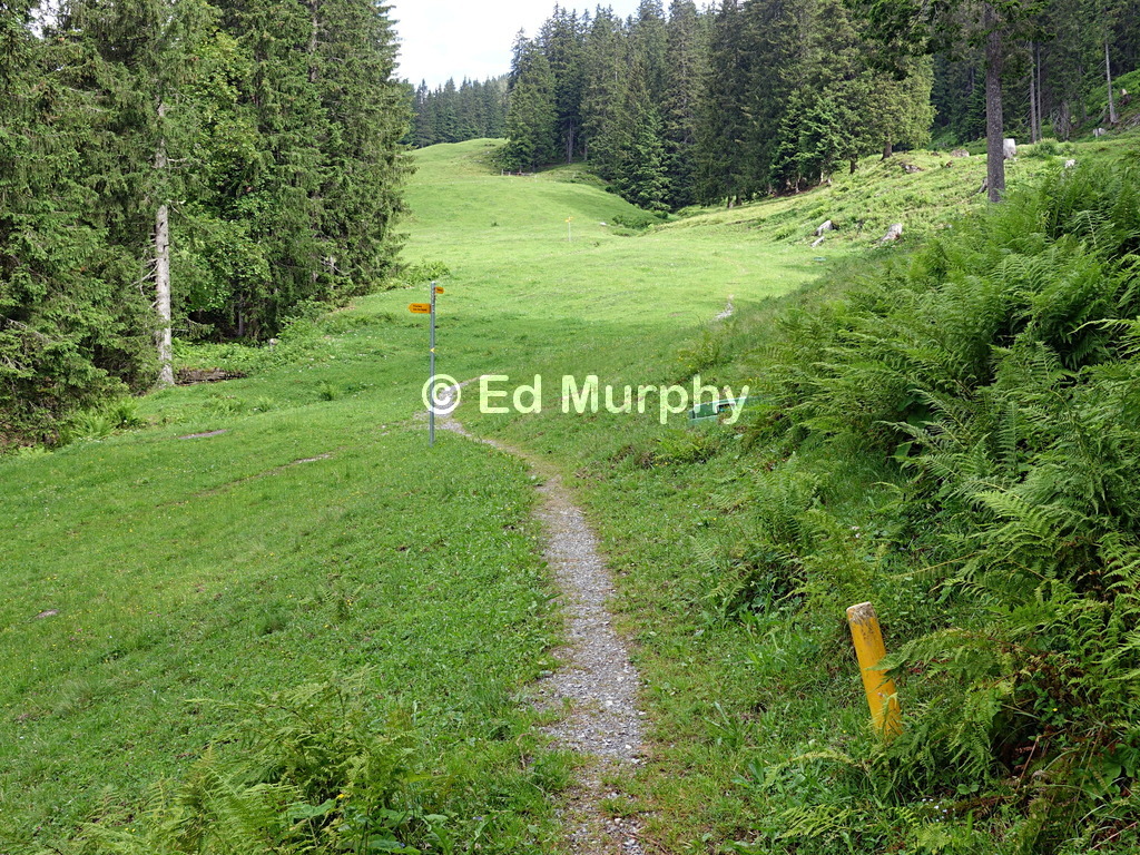 Plenty of space for the path up to K&auml;serstatt