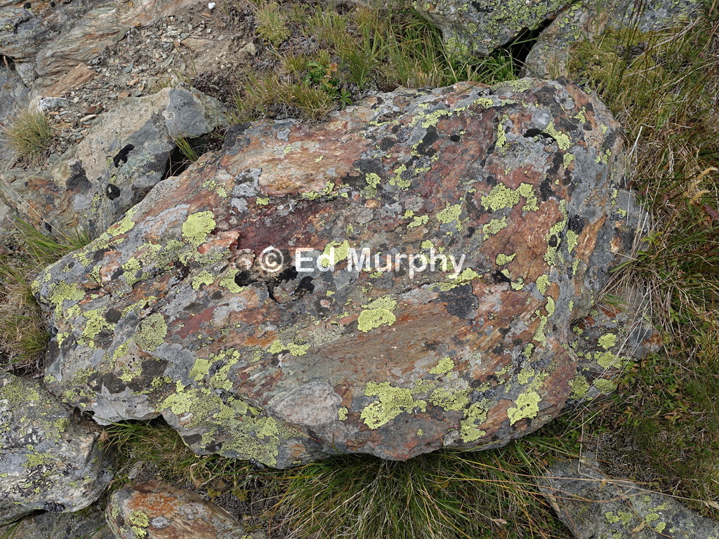 Chemistry and biology on a boulder on the path to the Col de Tsarmine