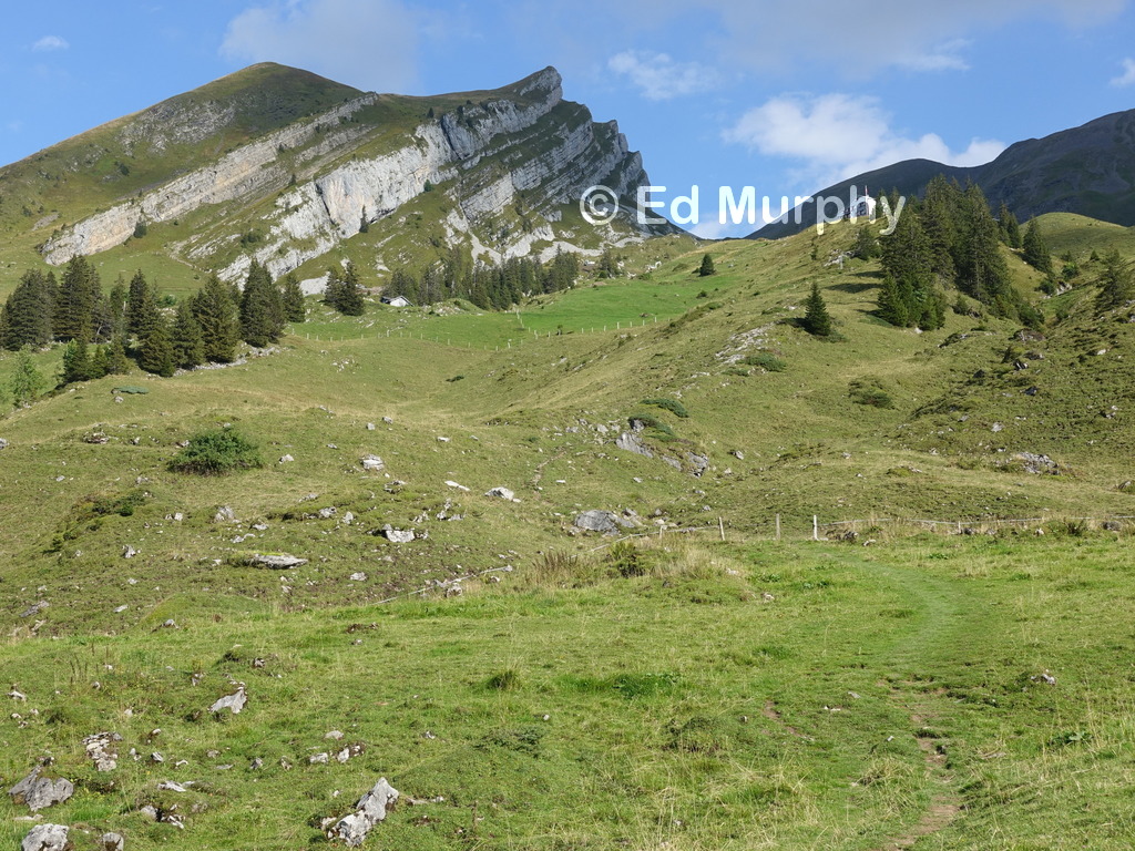 The path up cattle pastures to the Brisenhaus