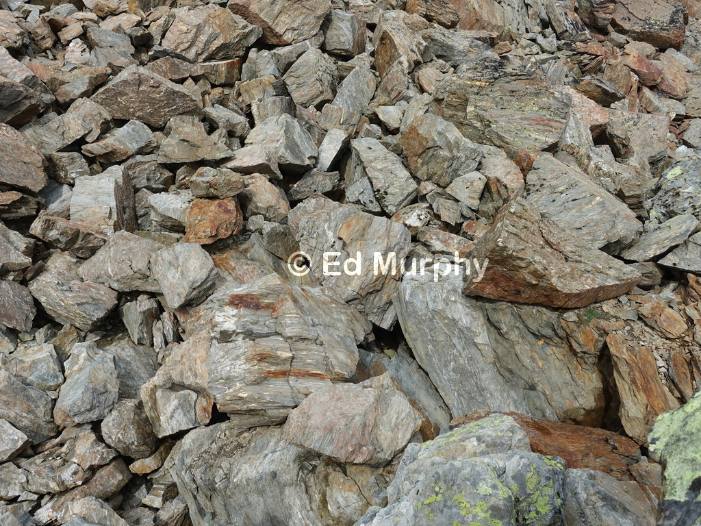 Detail of the kind of stones encountered on the way up the Jegihorn