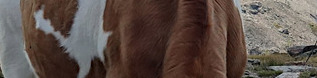 &nbsp;