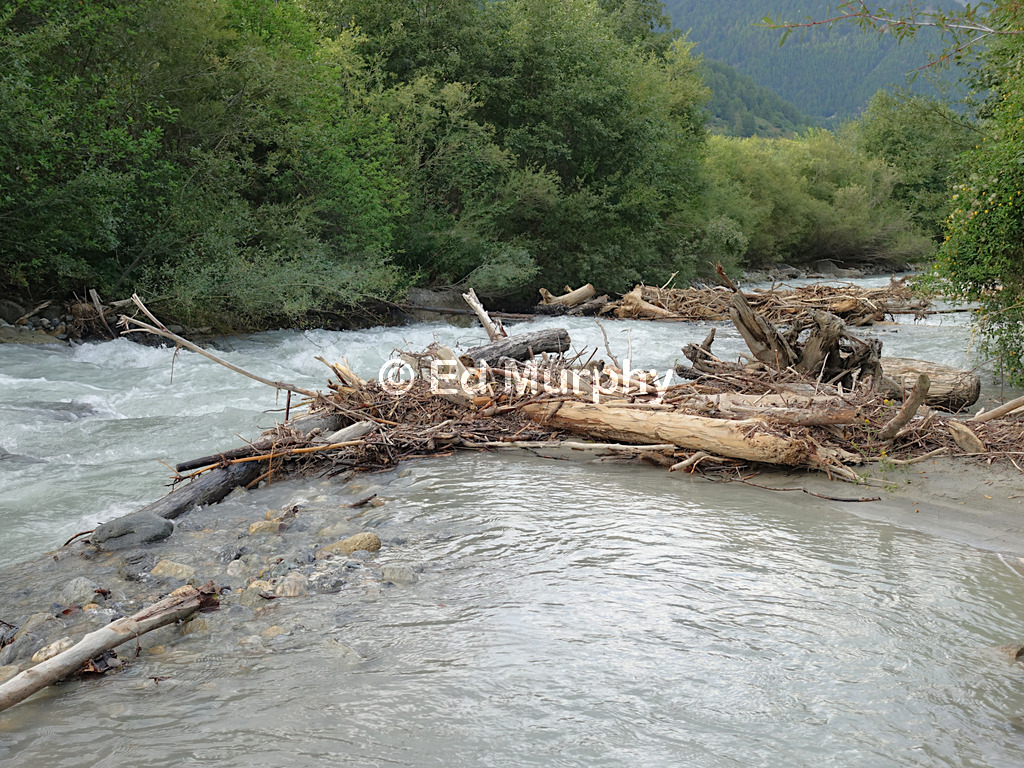 The Rom River provides accessible foot cooling for once