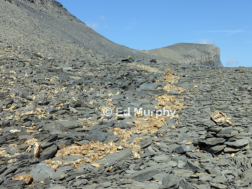 Mixed stone types near the summit of the Cheval Blanc