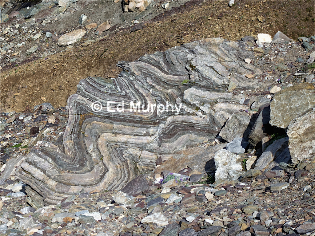 A remnant chunk of folded strata on the track to the Cheval Blanc