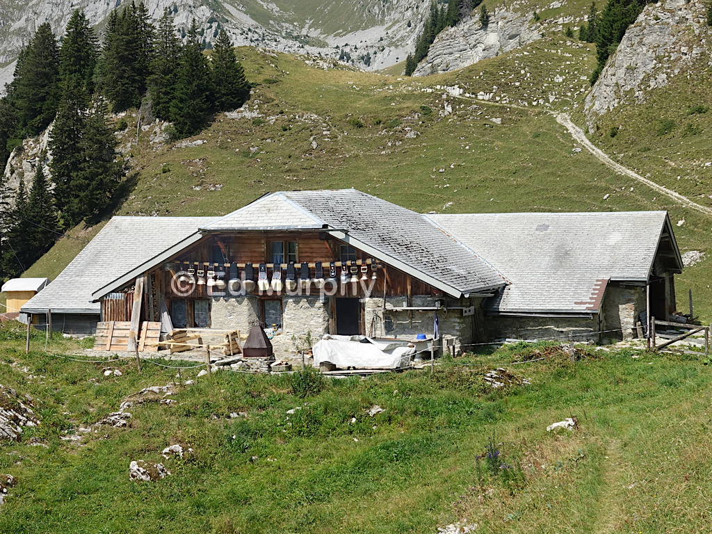 The farm chalet at Buufel, with its fine collection of cowbells
